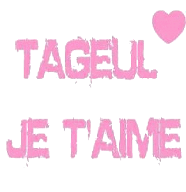 jme tape lincruste mm po honte!!! :p c pa bien je sai mais c juste pour toi jespere ke tu men voudra pa...